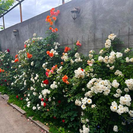 Hillside Guest House Yerevan Luaran gambar