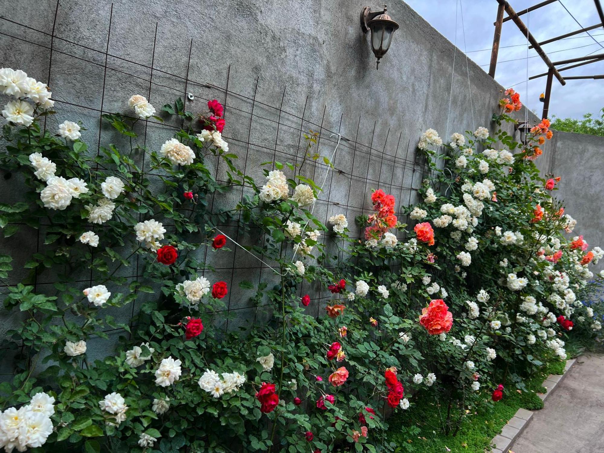 Hillside Guest House Yerevan Luaran gambar