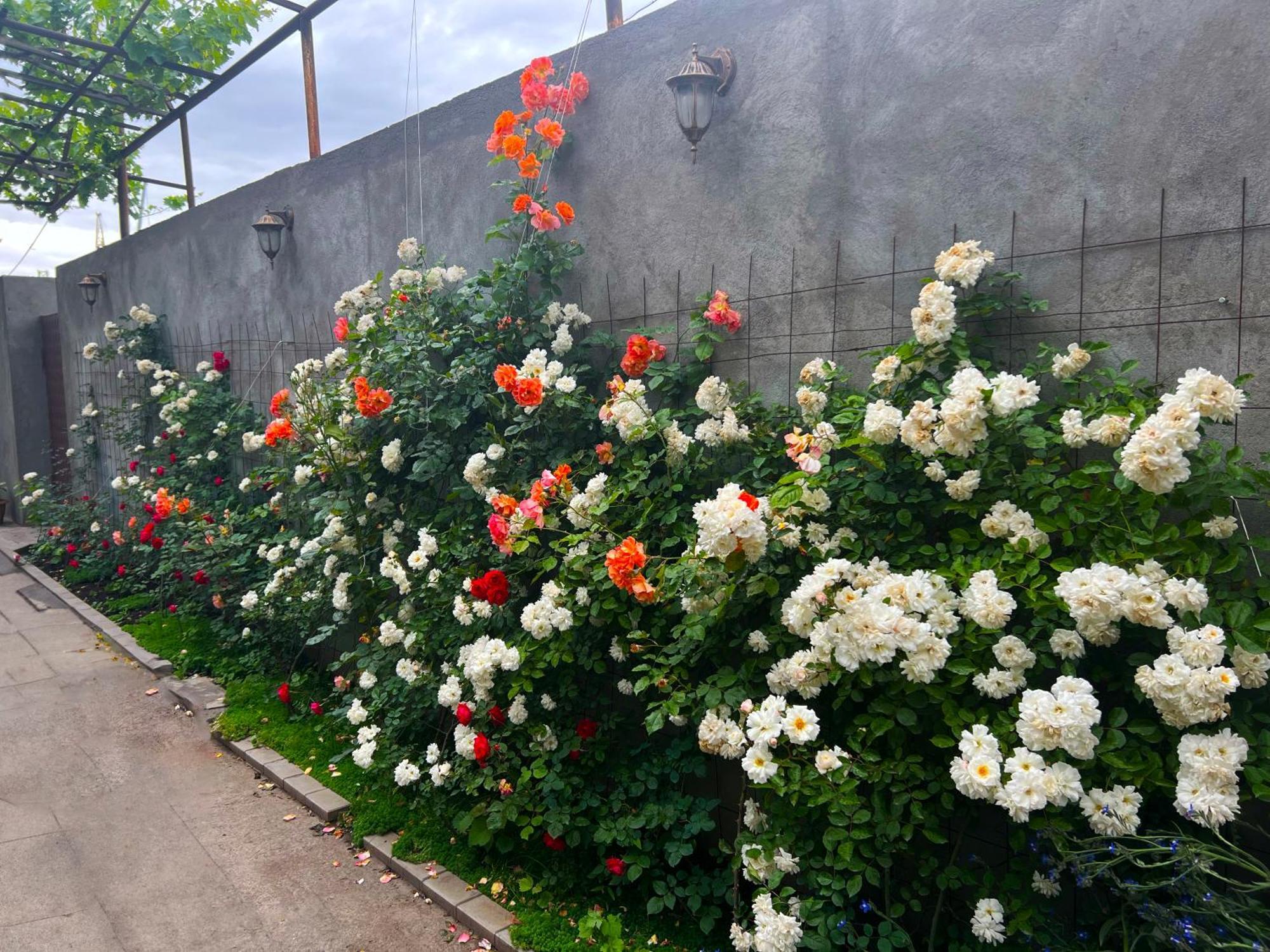 Hillside Guest House Yerevan Luaran gambar